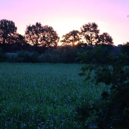 Am Schippstroth